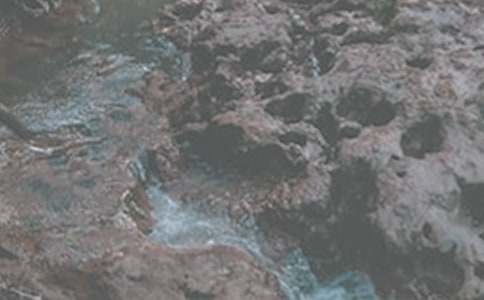 賈平凹短篇散文《溪流》賞析