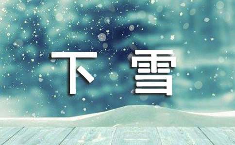 下雪作文600字(通用35篇)