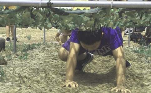 ��������I(y��ng)���ģ�С�W(xu��)���棩