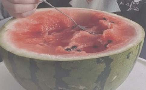 夏日的抒情作文