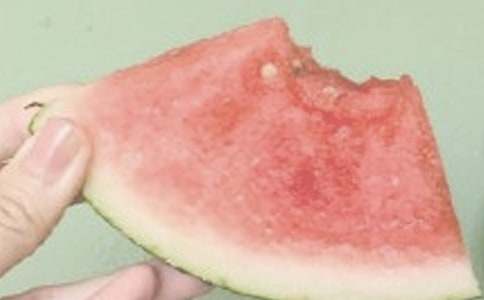 ϯĽ������ɢ�ģ����������������