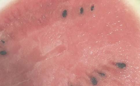 夏日里的風景作文(精選20篇)