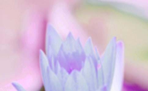 ������δ�����������~