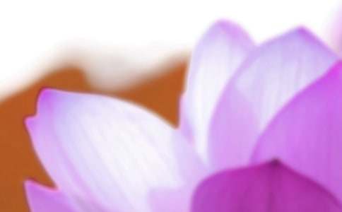 七夕的優(yōu)美散文:夏至七夕(通用19篇)