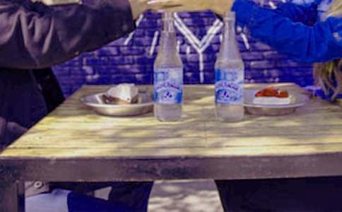 相親相愛的狐貍一家小學(xué)作文