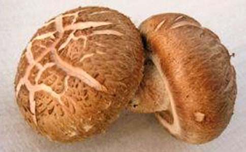 香菇作文400字(通用14篇)