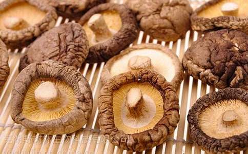 �{(l��n)���㹽��ʲô��˼