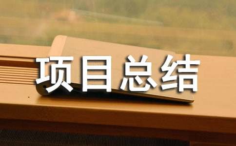 監(jiān)理年度項(xiàng)目總結(jié)范文