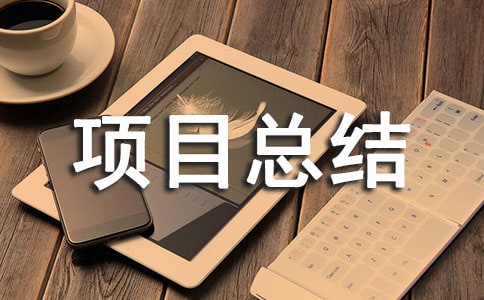 (熱)it項目總結(jié)報告15篇