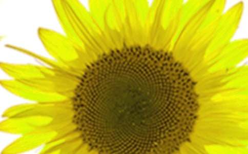 ӛ���е����տ����ģ����x35ƪ��