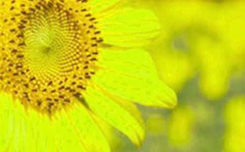 ���տ��䌍(sh��)��ɵ��������400��