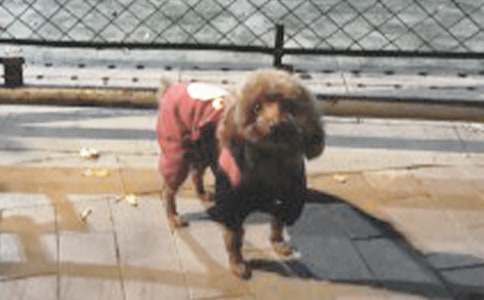 �ɐ۵�С�����ģ�ͨ��18ƪ��