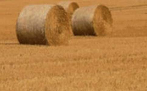 С������400�֣�ͨ��27ƪ��