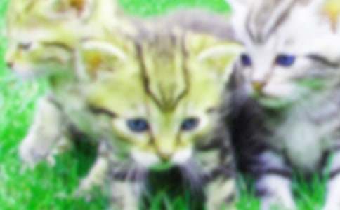 �P(gu��n)��С؈����500�օR����ƪ