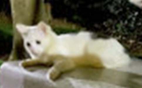 �^��С؈�Ą�(d��ng)�����Ĵ�ȫ