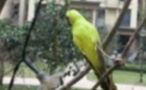 С�B�o�ҵĆ�ʾ����