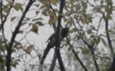 С�B����������