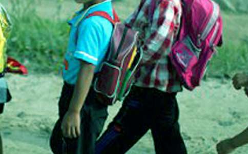 С�W(xu��)�����ģ��W(w��ng)�j(lu��)��ȫ��ͨ��20ƪ��