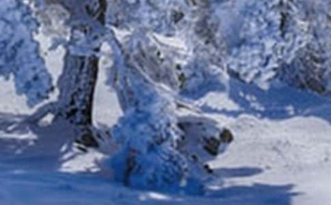 ����һ��Сѩ�����ģ�ͨ��24ƪ��