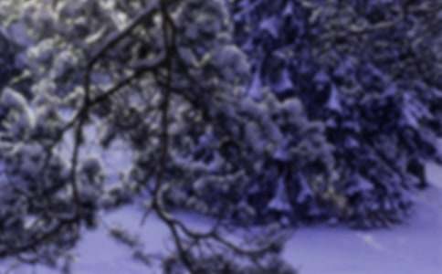 Сѩ�������V����