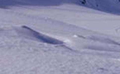 賞玉龍雪山作文