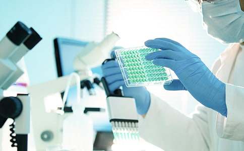 研究與發(fā)現優(yōu)秀作文600字