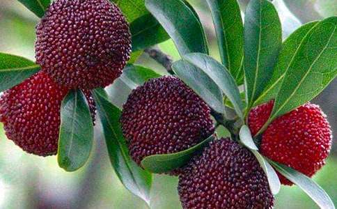 �Ґ۹��l(xi��ng)��÷����4ƪ