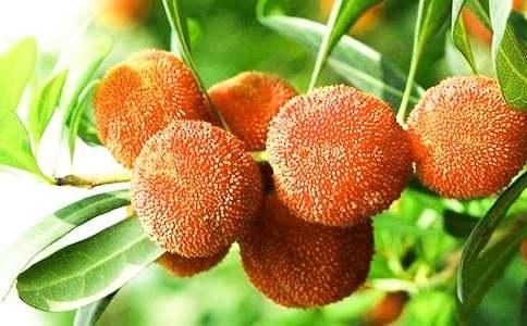 ���l(xi��ng)�ė�÷����600��