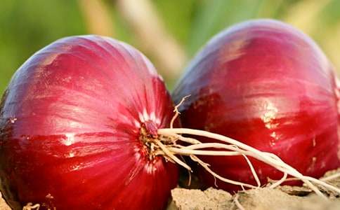 ���� �����ģ������[��ʲô��(hu��)���I