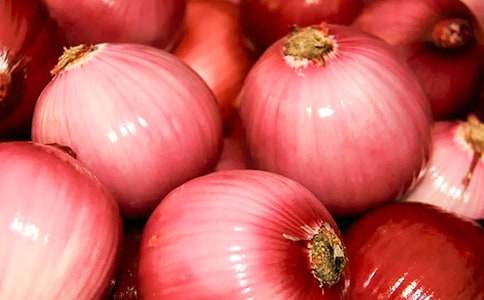 ����Ʒ�����[����500����ƪ