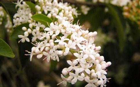 ������ҹ��(l��i)������