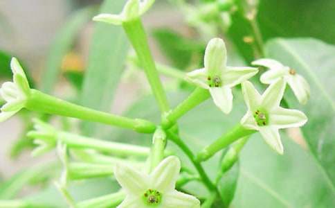 ������ҹ�������ģ����x5ƪ��