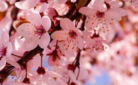 [��Ʒ]��(sh��)�õęѻ�������400��