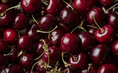 我愛故鄉(xiāng)的櫻桃作文3篇