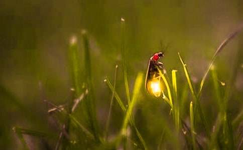 �����е�Ξ���x��(y��u)������