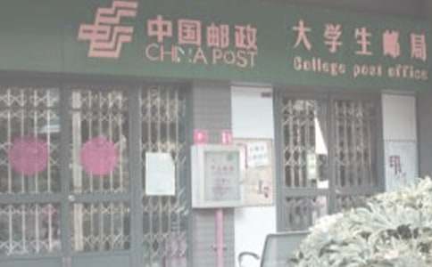 森林郵局童話作文(精選22篇)