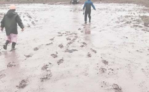 油田變了敘事作文