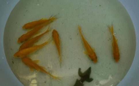 �~��ُ(g��u)�N�ĺ�ͬ������