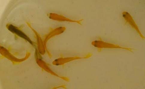 �~���I�u��ͬ