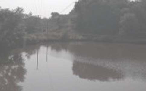 �������~������5ƪ