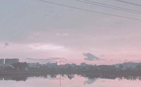 美麗的魚塘作文