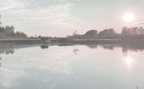 魚(yú)塘租賃合同