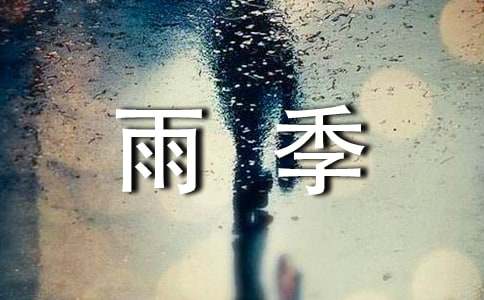 雨季,牽動我的情思作文
