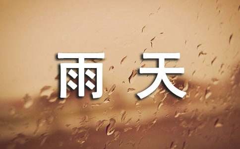 這個(gè)雨天學(xué)生作文