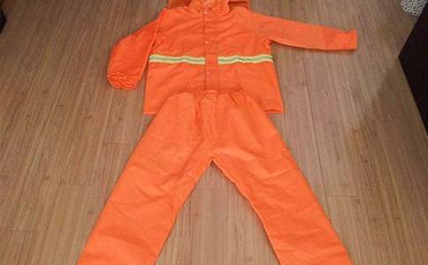 紫色雨衣下的父愛(ài)_800字