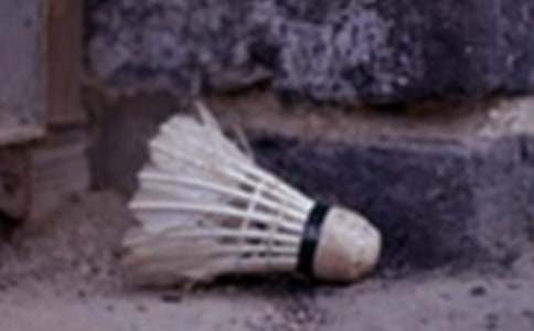 打羽毛球的樂趣作文800字(精選26篇)