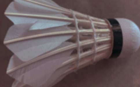 我和媽媽打羽毛球小學(xué)作文550字