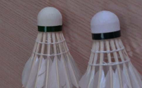 �Ͱְִ���ë�������