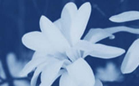 �Ұl(f��)�F(xi��n)�˰����m������������