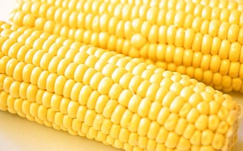 金色的玉米地的作文400字